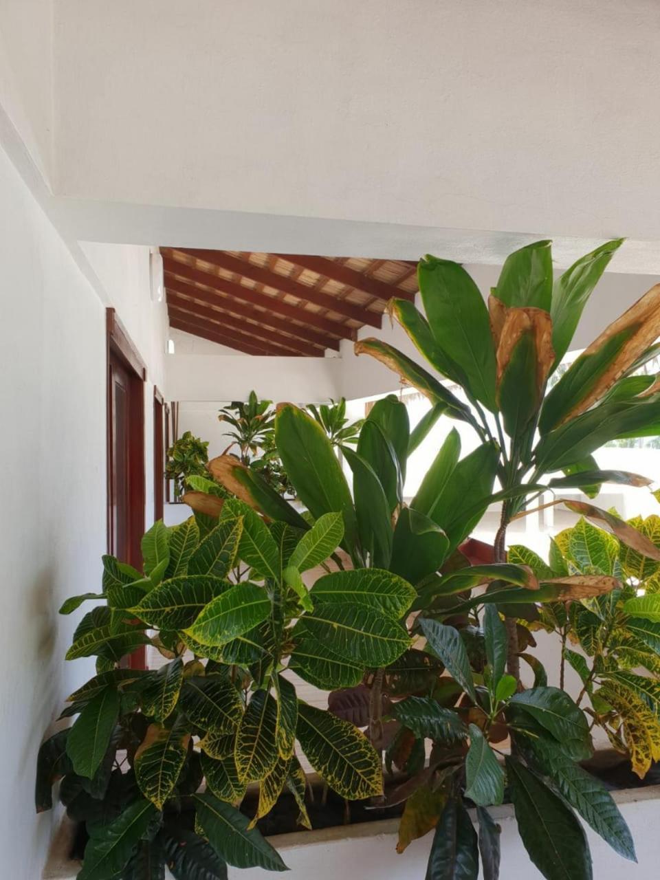 Oasi Encantada - Beach Resort Barahona Екстериор снимка