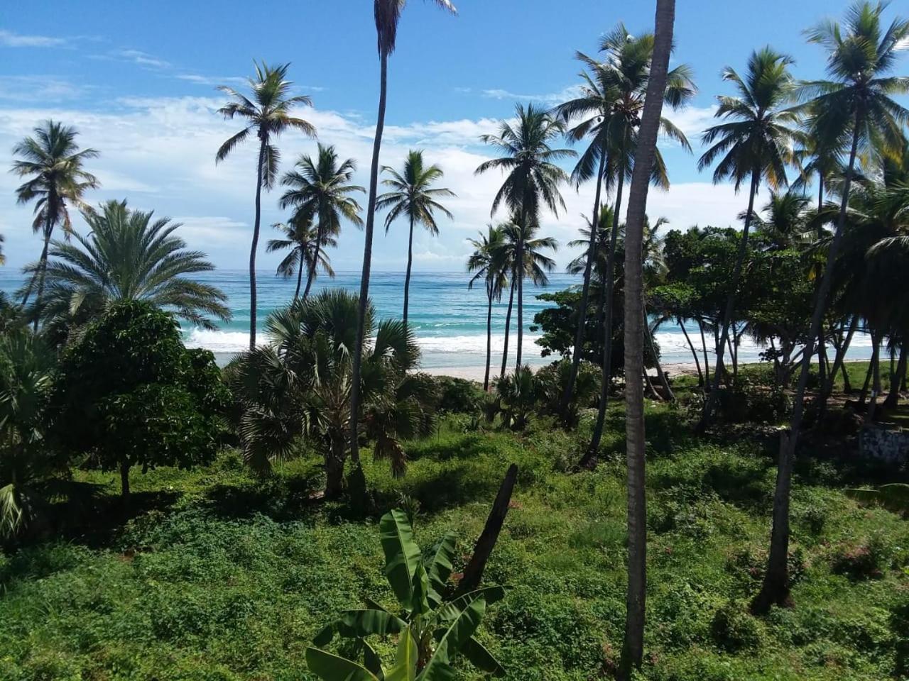 Oasi Encantada - Beach Resort Barahona Екстериор снимка