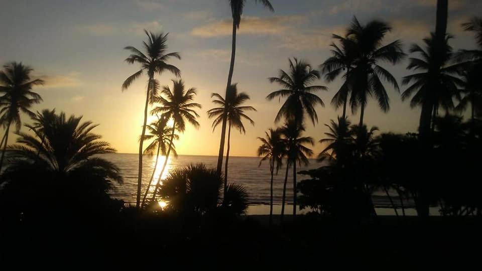 Oasi Encantada - Beach Resort Barahona Екстериор снимка